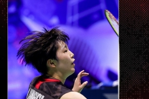 他们或许会 他们或许会