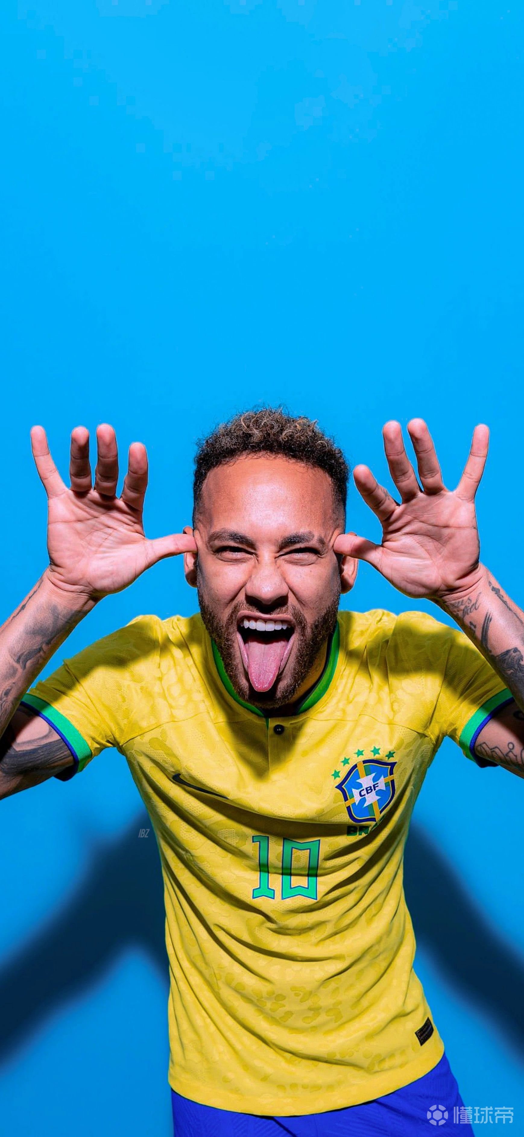 版本收益曲 版本收益曲